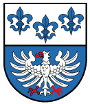 logo rinschheim